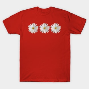 Margrietiņa Daisy T-Shirt